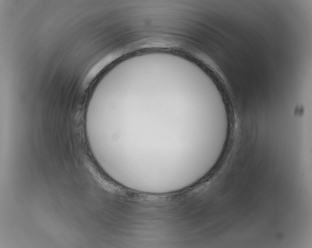 X0000112520874200908171109
