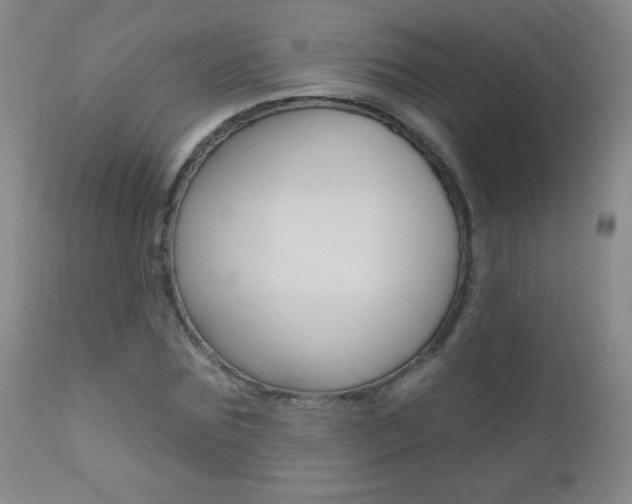 X0000112520875200908171109