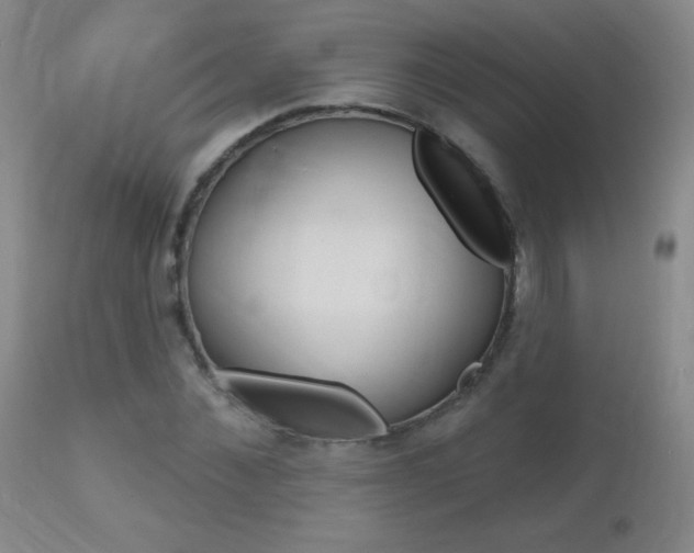 X0000112520876200908171109