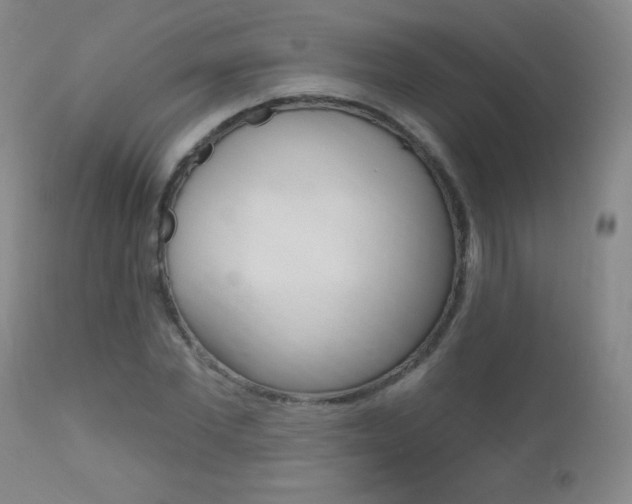 X0000112520877200908171109