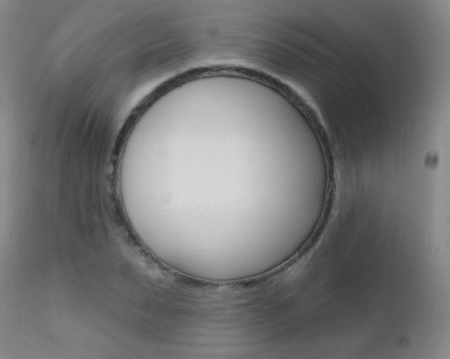 X0000112520879200908171109