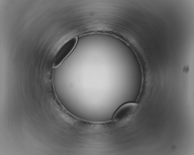 X0000112520881200908171109