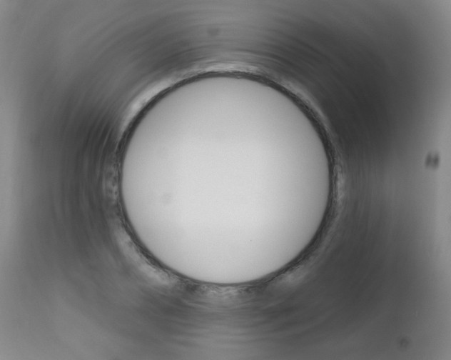 X0000112520882200908171109