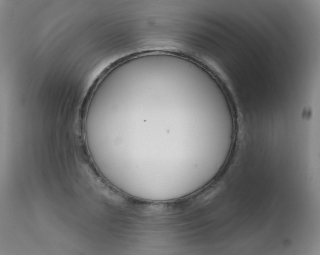 X0000112520883200908171109