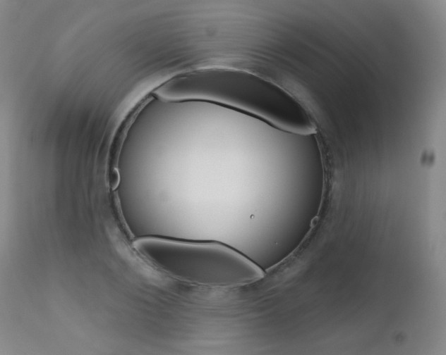 X0000112520884200908171109