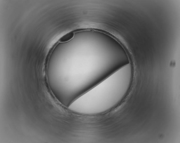 X0000112520885200908171109