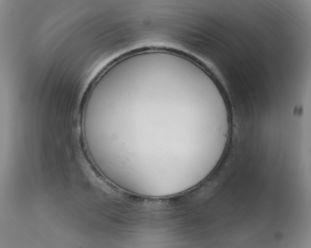 X0000112520887200908171109