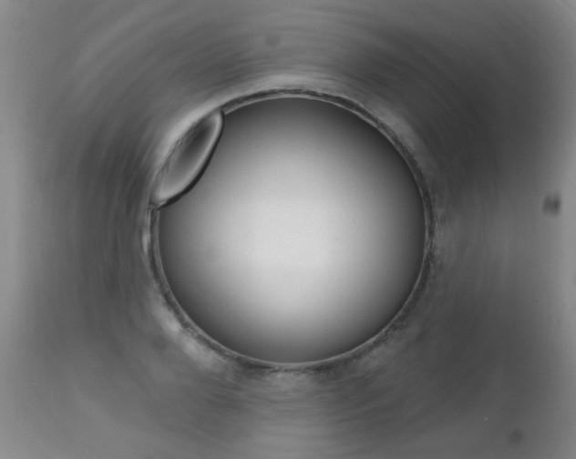 X0000112520888200908171109