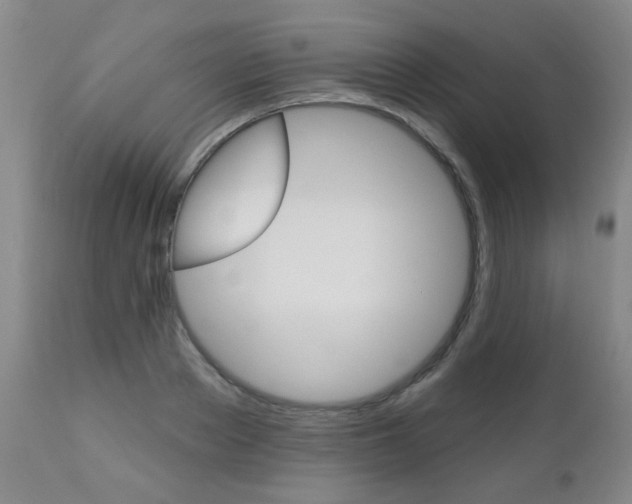 X0000112520889200908171109