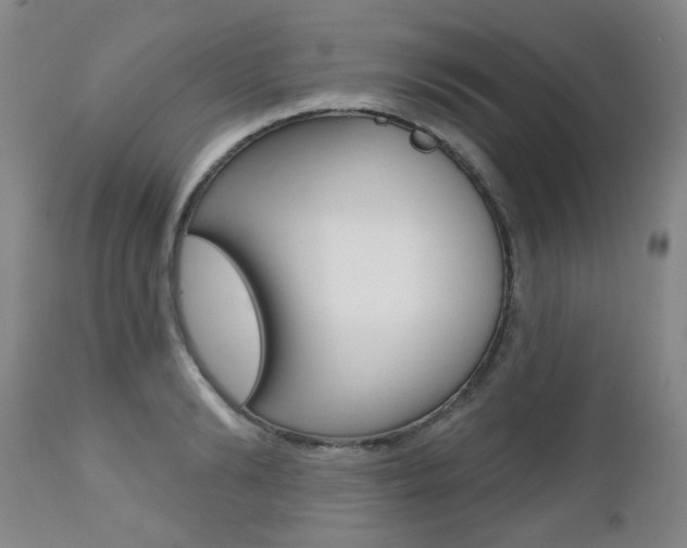 X0000112520894200908171109