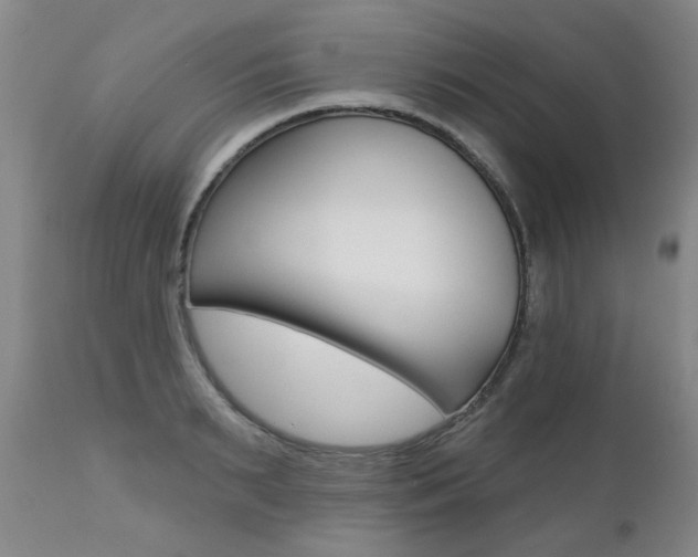 X0000112520895200908171109