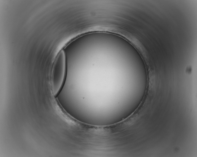 X0000112520896200908171109