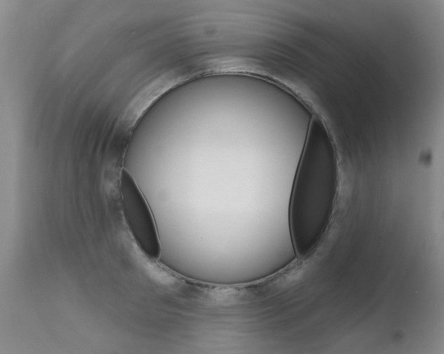 X0000112520897200908171109