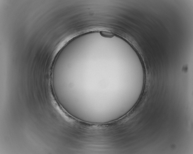 X0000112520898200908171109