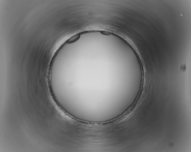 X0000112520901200908171109