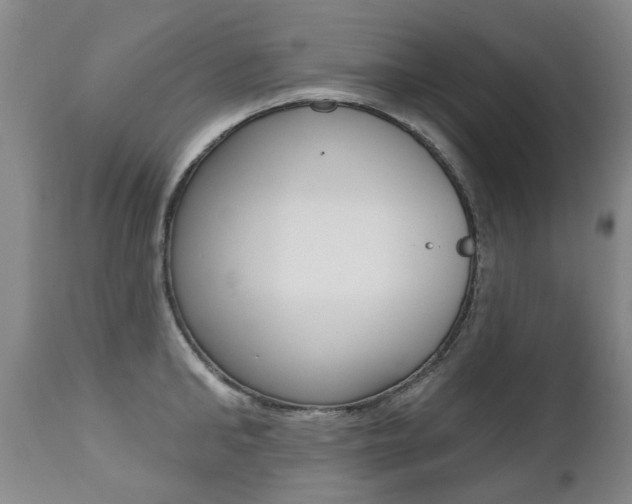 X0000112520902200908171109