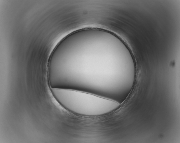 X0000112520903200908171109