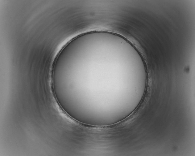 X0000112520904200908171109