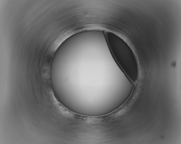 X0000112520905200908171109