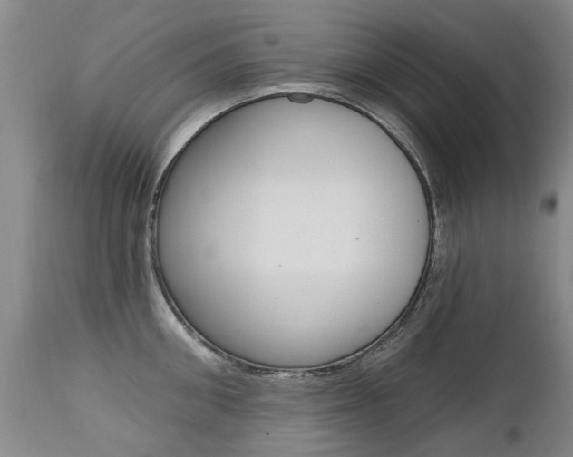 X0000112520906200908171109