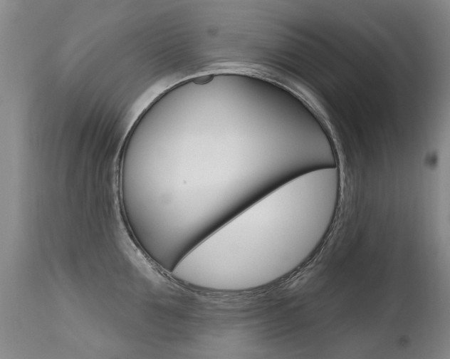X0000112520907200908171109
