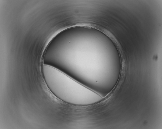 X0000112520908200908171109