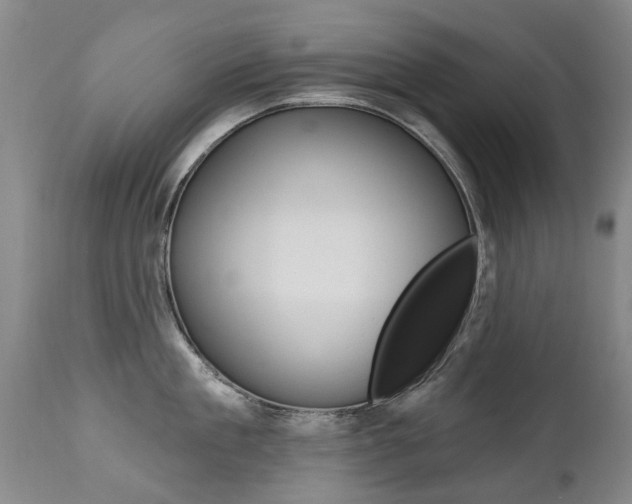 X0000112520909200908171108