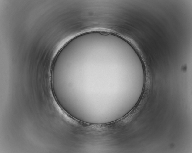 X0000112520910200908171108