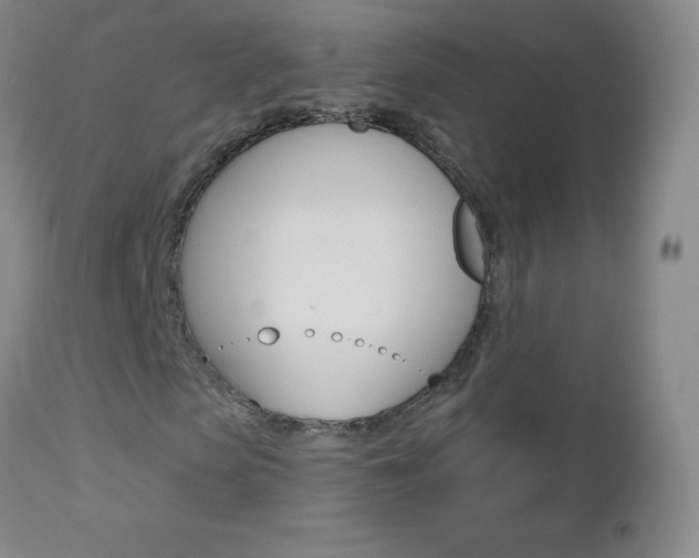 X0000112520913200908171108
