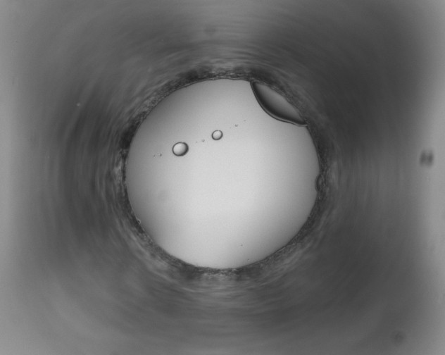 X0000112520914200908171108