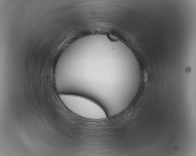 X0000112520915200908171108