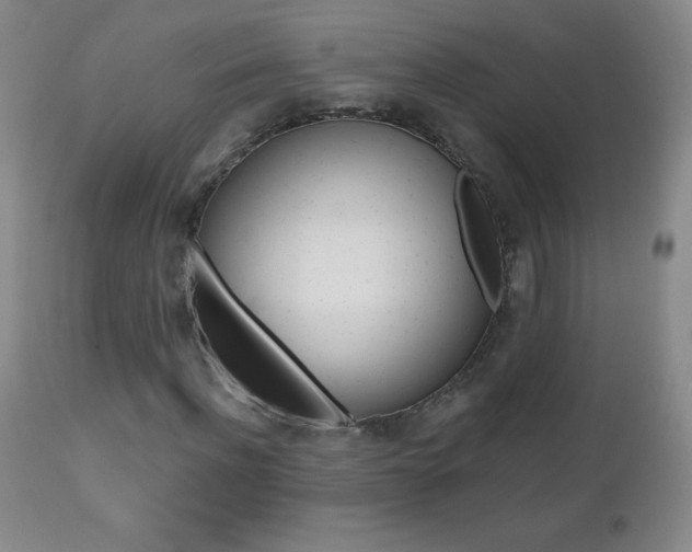 X0000112520916200908171108