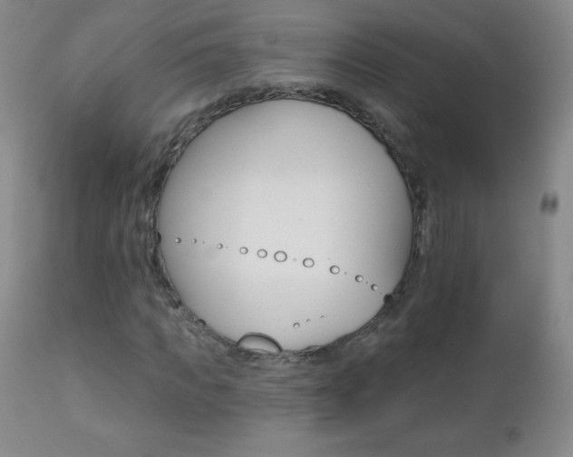 X0000112520917200908171108