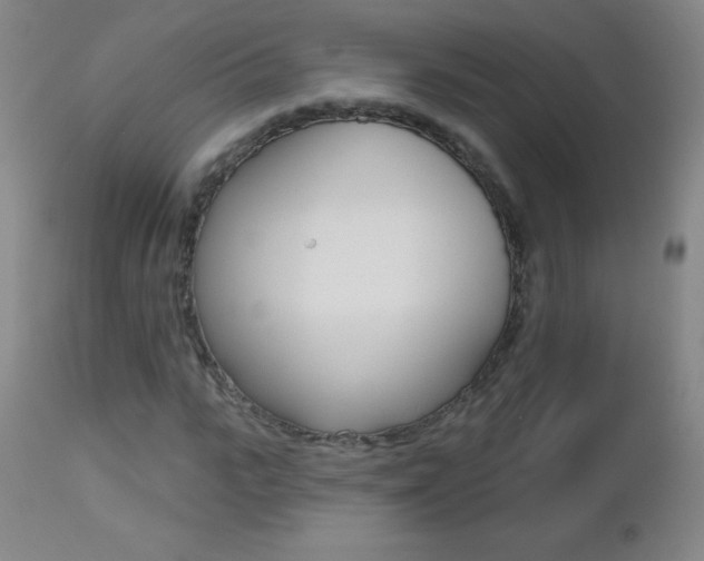 X0000112520919200908171108