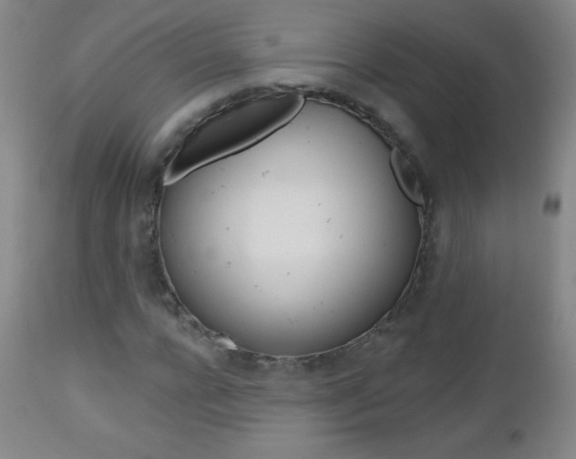 X0000112520920200908171108