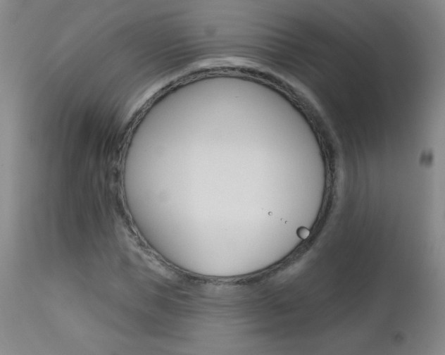 X0000112520921200908171108