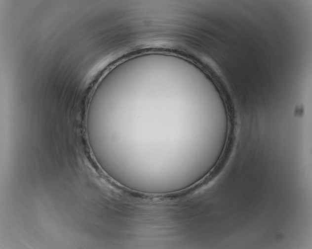X0000112520922200908171108