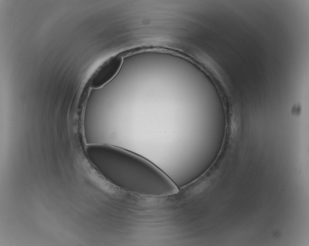 X0000112520924200908171108