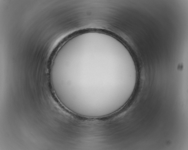 X0000112520926200908171108
