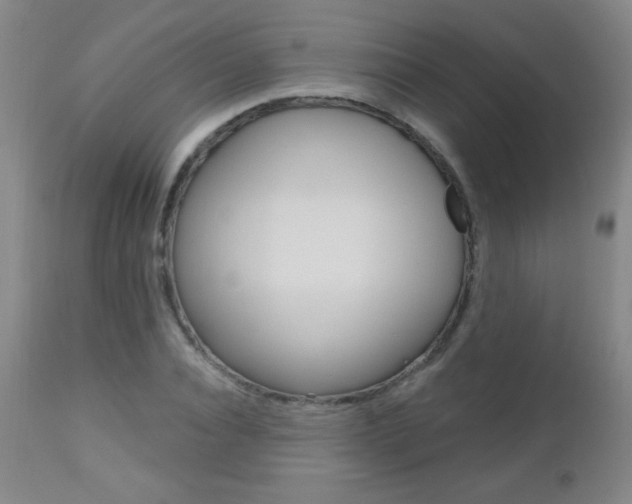 X0000112520928200908171108