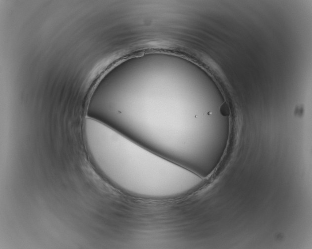 X0000112520930200908171108