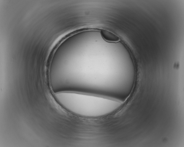 X0000112520932200908171108