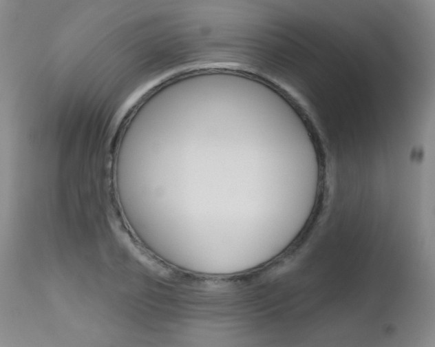 X0000112520933200908171108