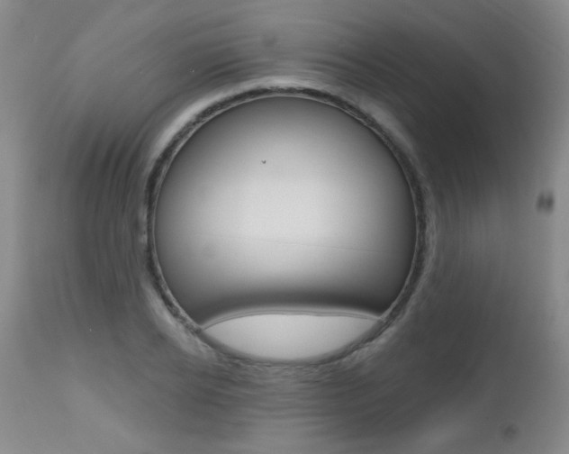 X0000112520934200908171108