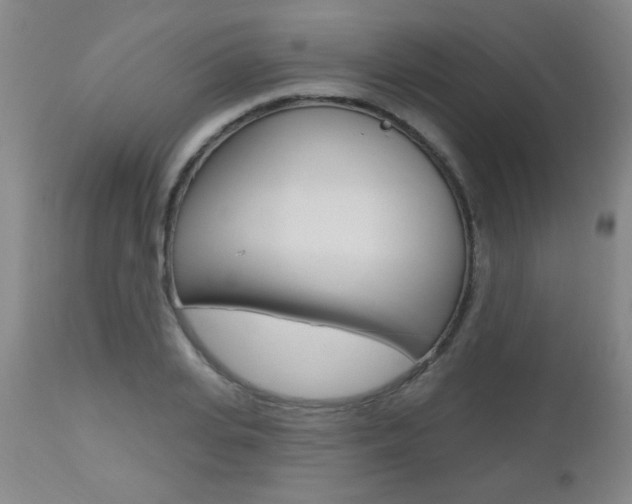 X0000112520935200908171108