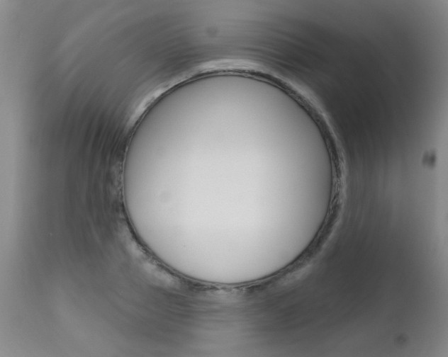 X0000112520937200908171108