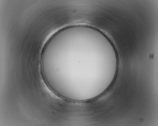 X0000112520941200908171108
