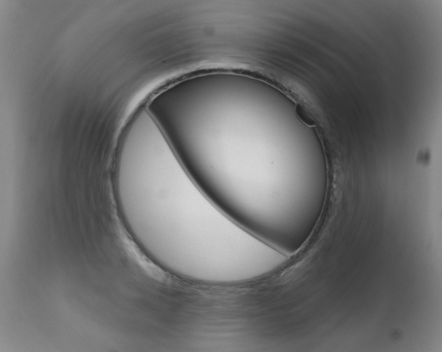 X0000112520942200908171108