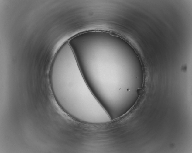 X0000112520944200908171108