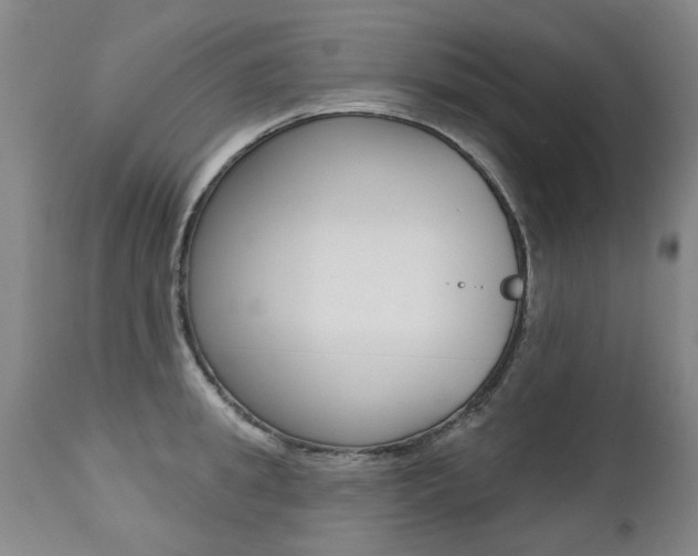 X0000112520949200908171108